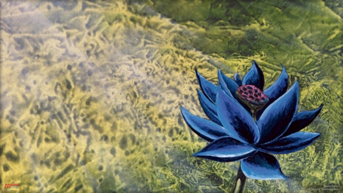 Black lotus botania
