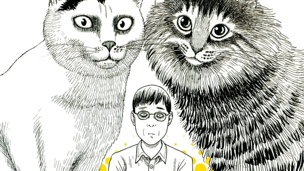 Junji Ito's Cat Diary: Yon & Mu