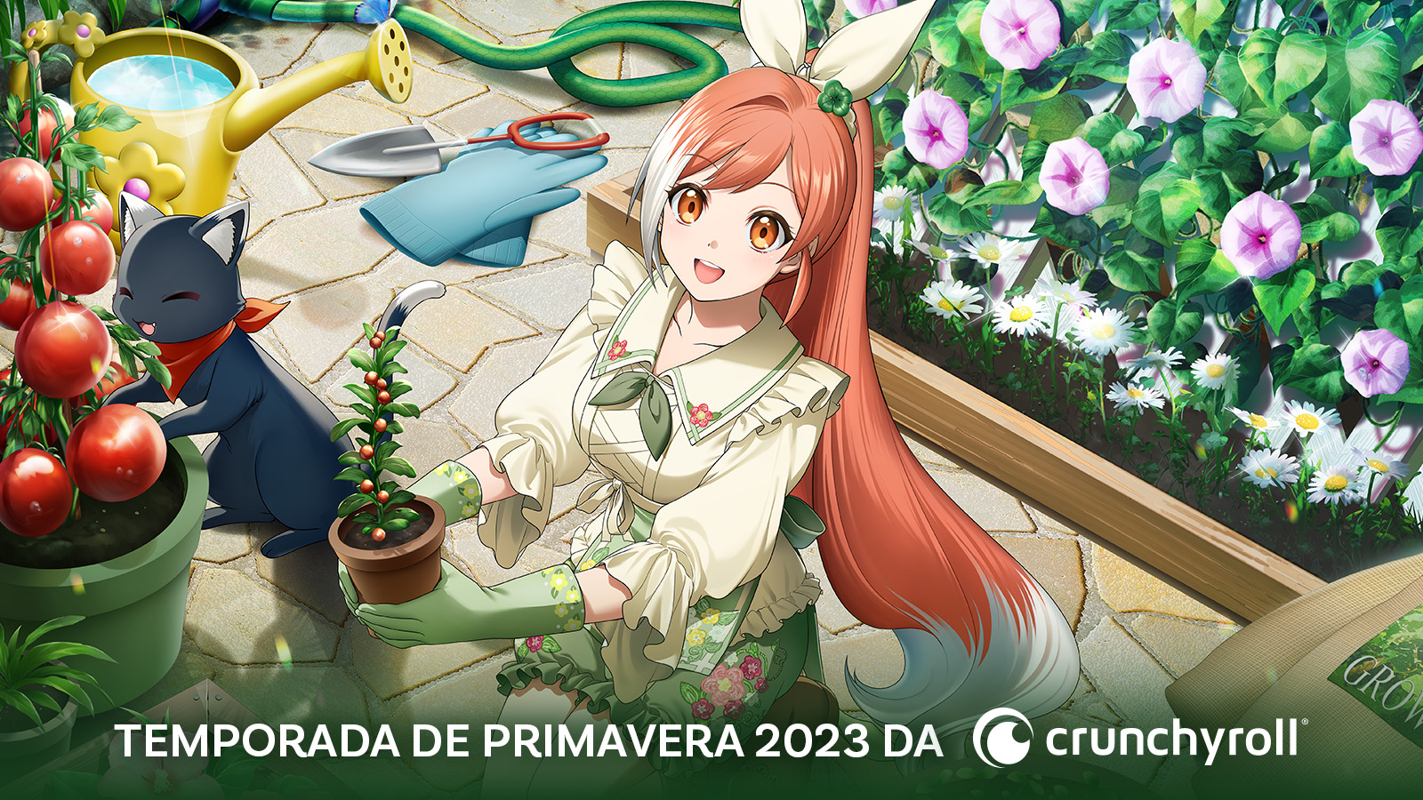 Animes dublado link no Google drive