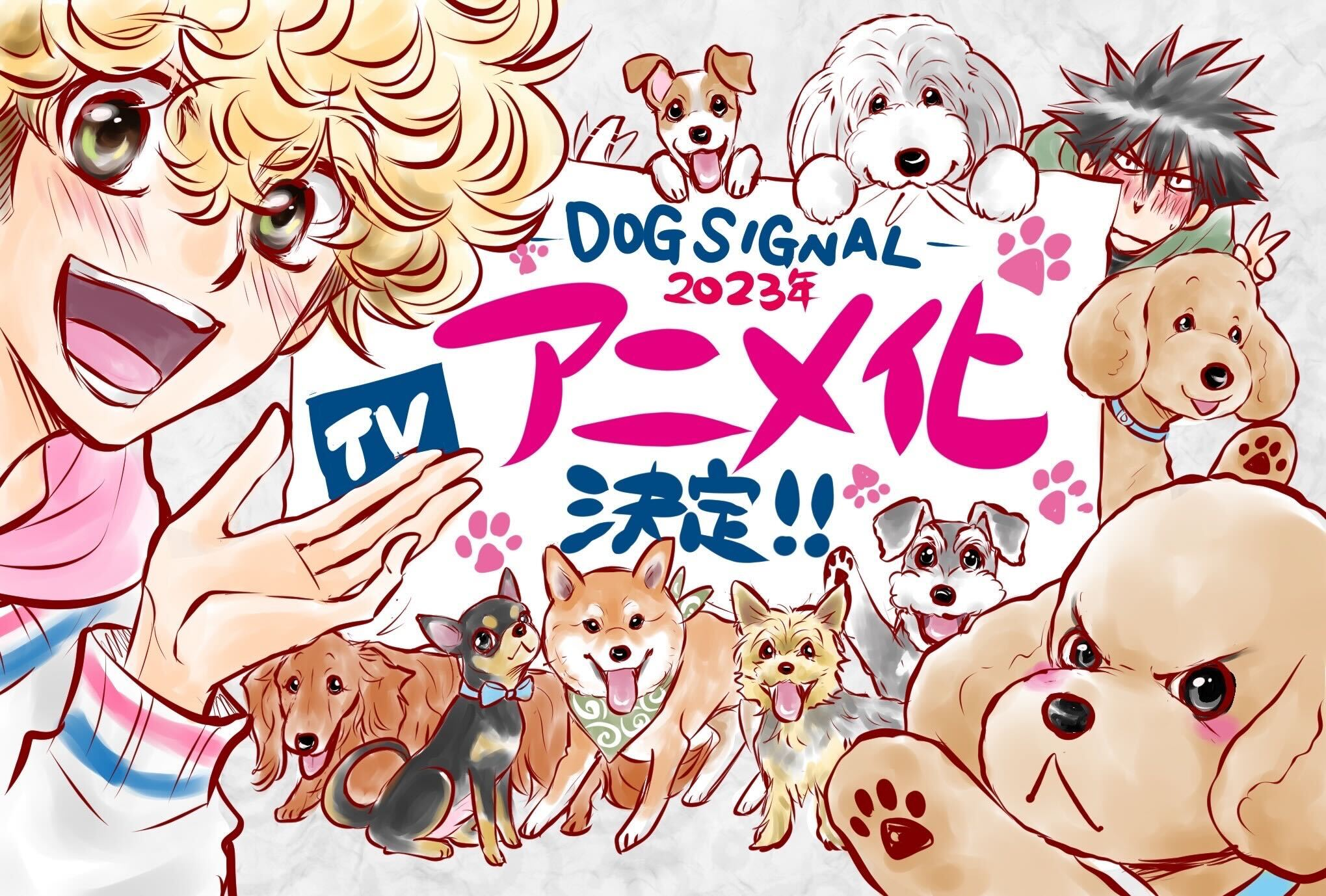 Dog Signal, anime josei sobre cuidadores de cães, divulga elenco de voz e direção do anime.