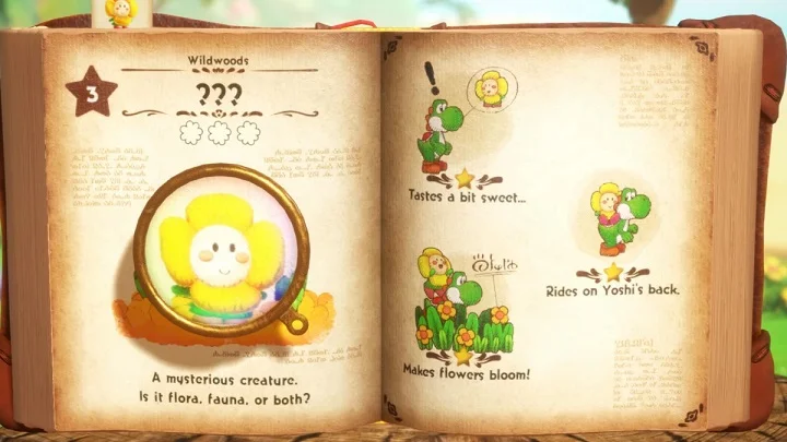 Yoshi and The Mysterious Book - 2